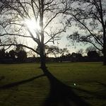 Ronald Trimble - @trimbleronald - Instagram
