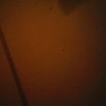 Ronald Trimble - @ronald.trimble.984 - Instagram