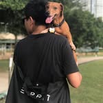 Ronald Tsang - @ronald__tsang - Instagram