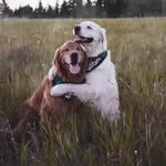 Ronald Tsang - @ronaldtsang_ - Instagram