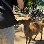 Ronald Tsang - @daidailao - Instagram