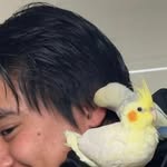 Uncle Ronald 🌽🌽 - @ronald_tsang123098 - Instagram
