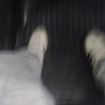 ronaldvigo_ - @ronaldvigo_ - Instagram