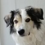 Ronald Volkmann - @ronald.volkmann.77 - Instagram