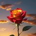 Ronald Wacker - Facebook