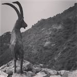 Ronald Wertman - @ronaldwertman - Instagram