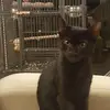 Ron Wexler - @ron.wexler4 - TikTok
