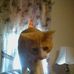 Ronald Wheatley - Facebook