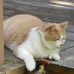 Ronald Wideman - Facebook
