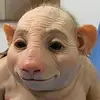 Ronald Wermuth - @ronaldwermuth - TikTok