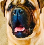 Ronald Winningham - Facebook