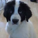Ronald Wohlmuth - @ronaldwohlmuth - Instagram