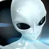 Ronald Wolkan479 - @ronaldwolkan479 - TikTok