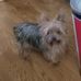 Ronald Womack - Facebook