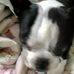 Ron Woosley - Facebook