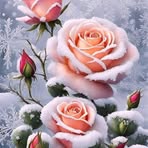 Ronald Wolf - Facebook