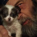 Ronald wulff - @gentlenatureman - Instagram