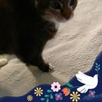 Ronald Yarbrough - @ronaldyarbrough - Instagram