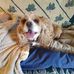 Ronald Yarbrough - Facebook