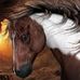 Ronald Yarbrough - Facebook