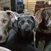 Ronald Eardley - Facebook