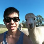 Ronald Yeo - @ronaldyeojz - Instagram