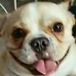 Ronald Yim - @ronaldyim - Instagram
