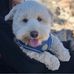 Ronald Yip - Facebook