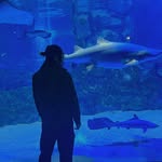 Ronald Yuen - @ronald_ycc - Instagram