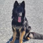 Ronald Zimmer - @ronny131065 - Instagram