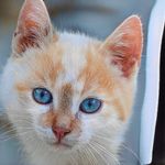 Ronald - @ronaldbakerpqvuzookuj - Instagram