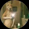 ronaldoamaya - @ronaldo.amaya53 - TikTok