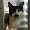 Ronaldo freitas - @ronaldo.freitas564 - TikTok