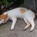 Ronaldo Reyes - Facebook