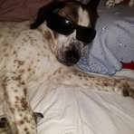 Ronaldo Sequeira - Facebook