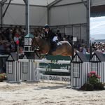 Ronan Duffy - @ronan_duffy_equestrian - Instagram