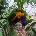 Ronan Duffy - @ronan2310 - Instagram