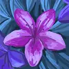 ronanduffy05 - @ronanduffy05 - TikTok