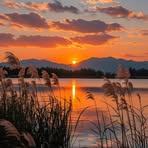 Ronan Fox - Facebook