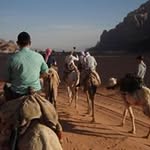 Ronan Fox - @ronan.fox.1 - Instagram