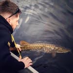 𝓡𝓸𝓷𝓪𝓷 𝓕𝓸𝔁 𝓕𝓲𝓼𝓱𝓲𝓷𝓰 - @ronanfoxfishing - Instagram