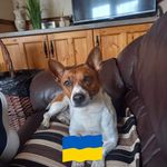 Ronan Mc Grath - @ronan.mcgrath.96 - Instagram