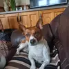 ronanmcgrath3 - @ronanmcgrath3 - TikTok