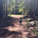 Ronan Moran - @roro_rollins - Instagram