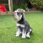 ronan smith - @ronan_smith0506 - Instagram