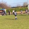 ronan wallace🏉 - @ronanwallace38 - TikTok