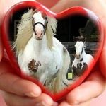 Rhonda Browning - @rhonda.browning.733 - Instagram