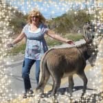 Ronda Cook - @ronjohnlhc - Instagram