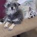Ronda Cook - Facebook