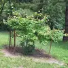 rondacook40 - @ronda.cook8 - TikTok